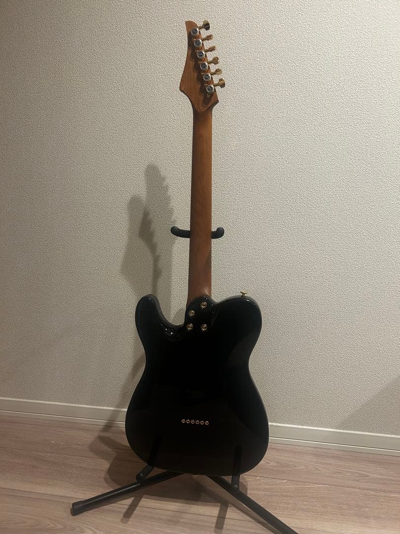 Bacchus BTE-1DX RSM MOD テレキャスター suhr