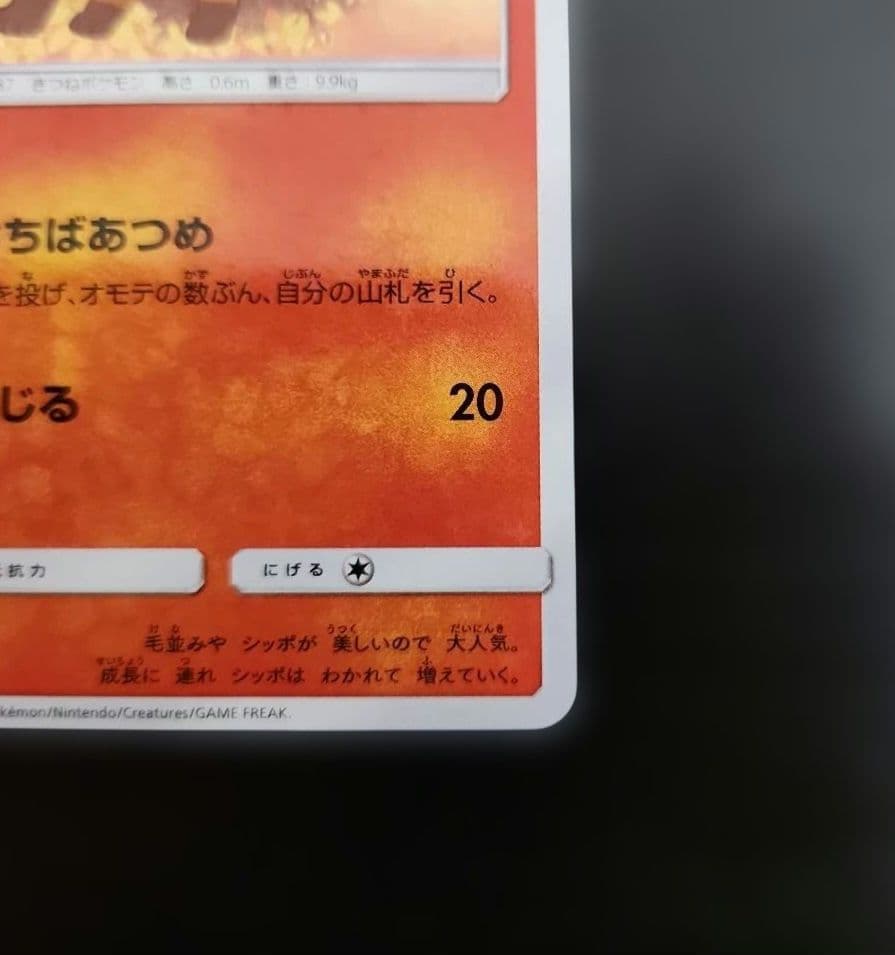 ポケモンカード　ロコン　プロモ　146/SM-P