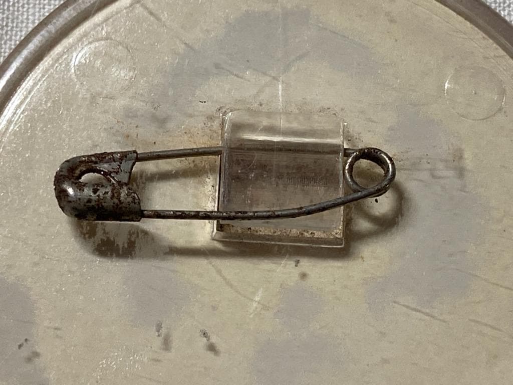 【超希少・昭和当時物】キャンディキャンディ プラスチック製バッジ ピンクの縁