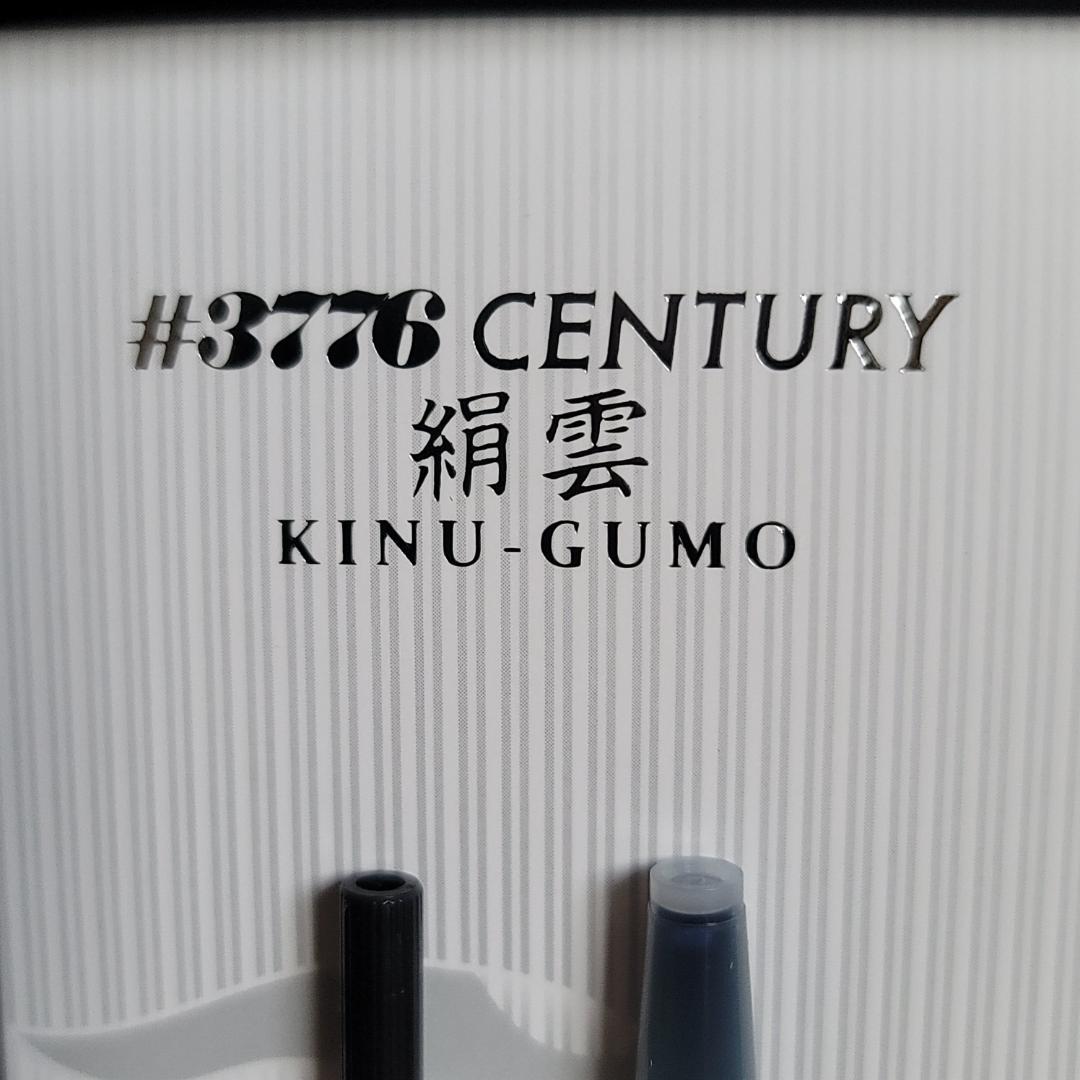 PLATINUM 万年筆 #3776 絹雲 富士雲景 限定セット 新品未使用