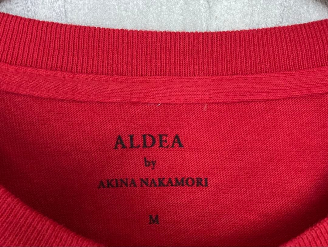 中森明菜☆ALDEA FC限定☆還暦祝いT☆赤☆Mサイズ☆レア☆クリーニング済み