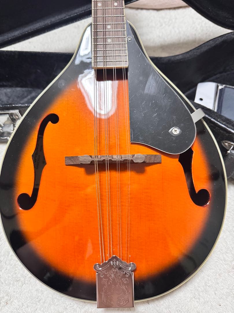 【超美品】Aria AM-20 フラットマンドリン超美品　専用ハードケース 楽器