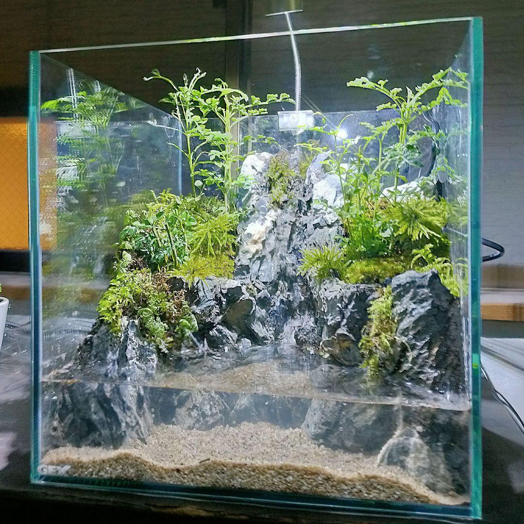 滝の流れるアクアテラリウム　たつ