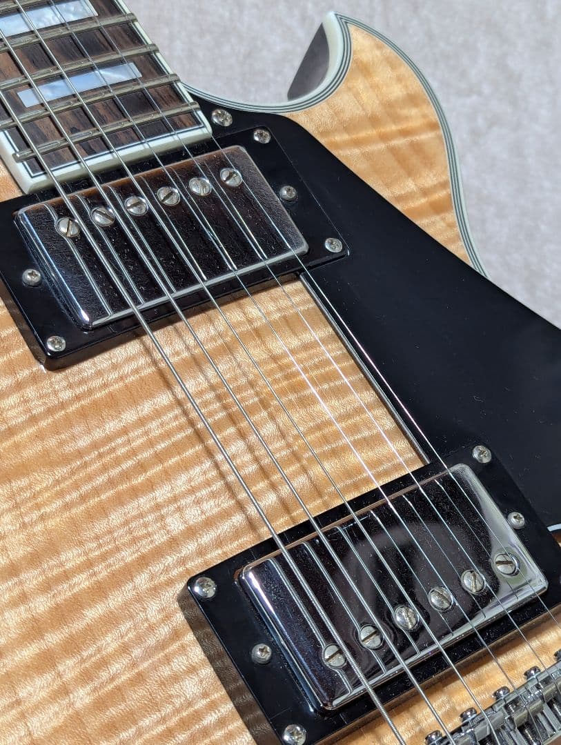 K*a様 SCHECTER シェクター SOLO-ⅱ CUSTOM GNAT