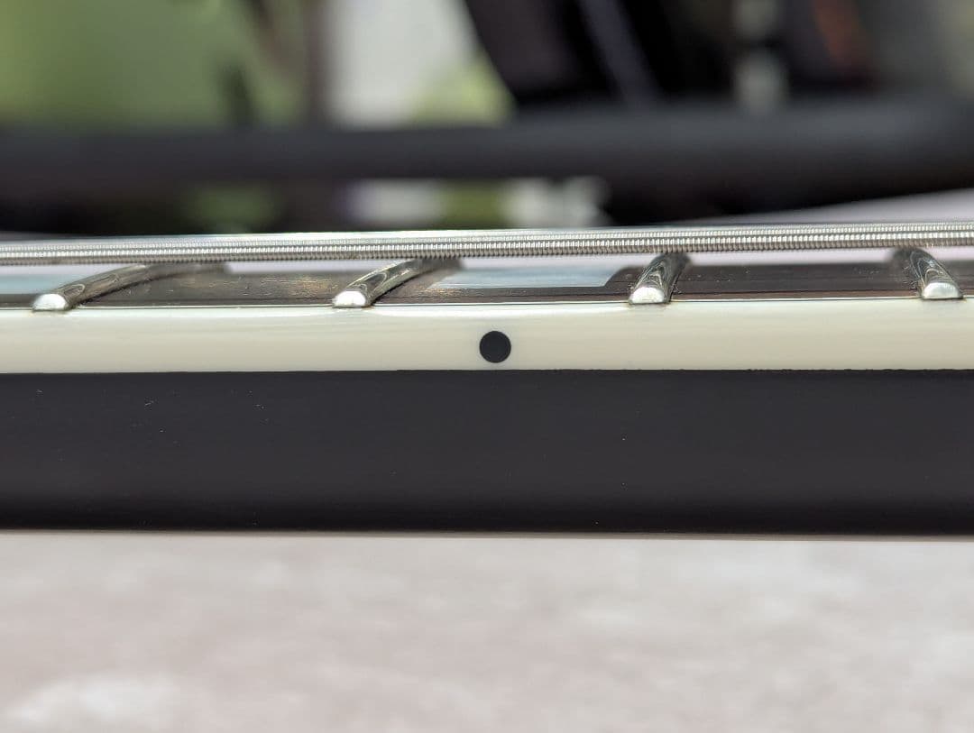 K*a様 SCHECTER シェクター SOLO-ⅱ CUSTOM GNAT