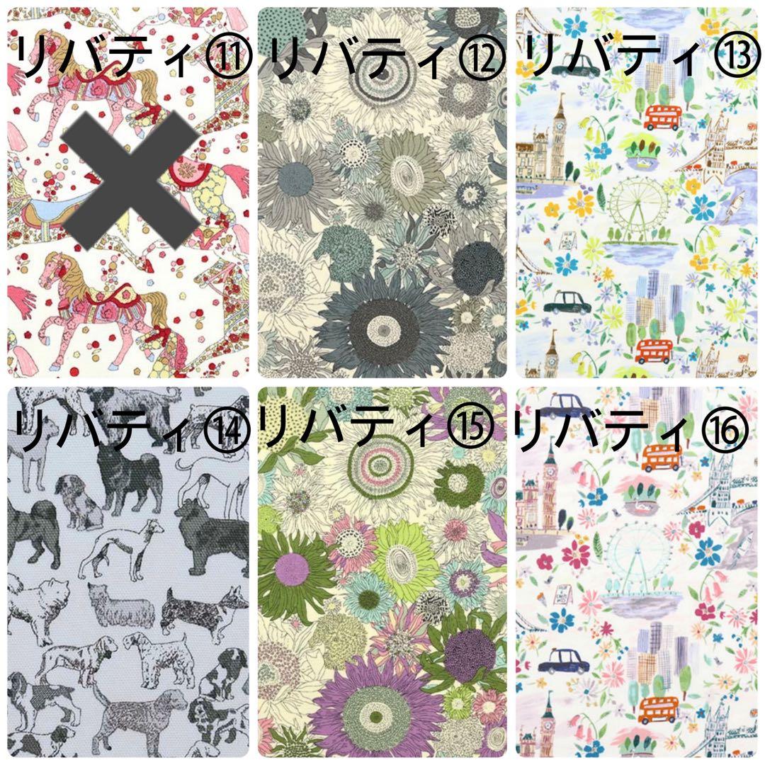 しーちきんページエヴリンtpmサイズバッグインバッグ