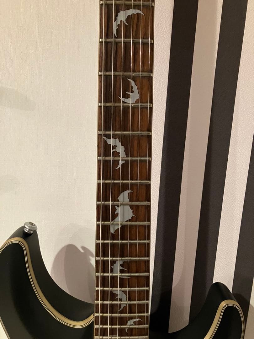 シェクター SCHECTER Damien Platinum-6