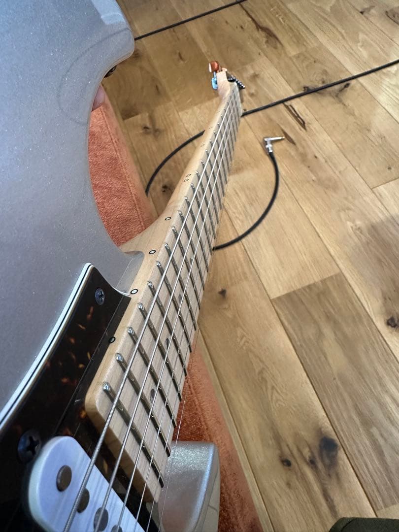 FUJIGEN EOS 2021年製 最終値下げ