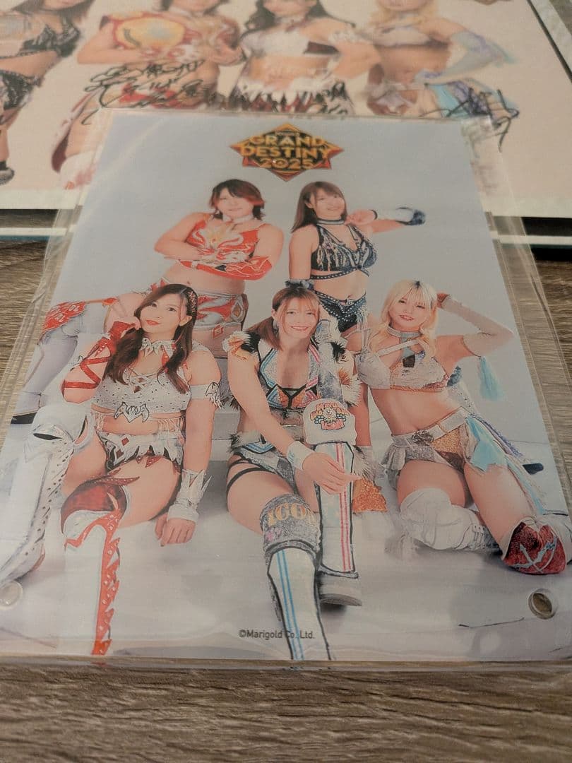 林下詩美 青野未来 直筆サイン入りパネル マリーゴールド　特典セット