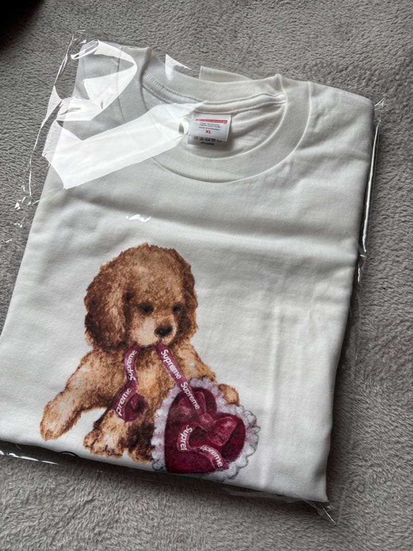 【即日発送】Supreme シュプリーム Dust Tee 白　XL 25FW