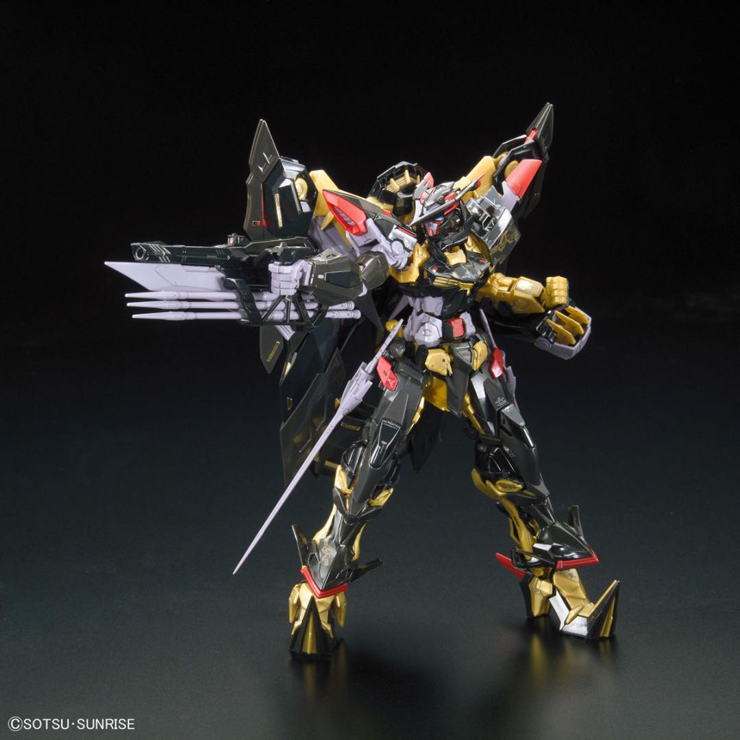【2品セット】RG アストレイゴールドフレーム天ミナ／フォースインパルスガンダム