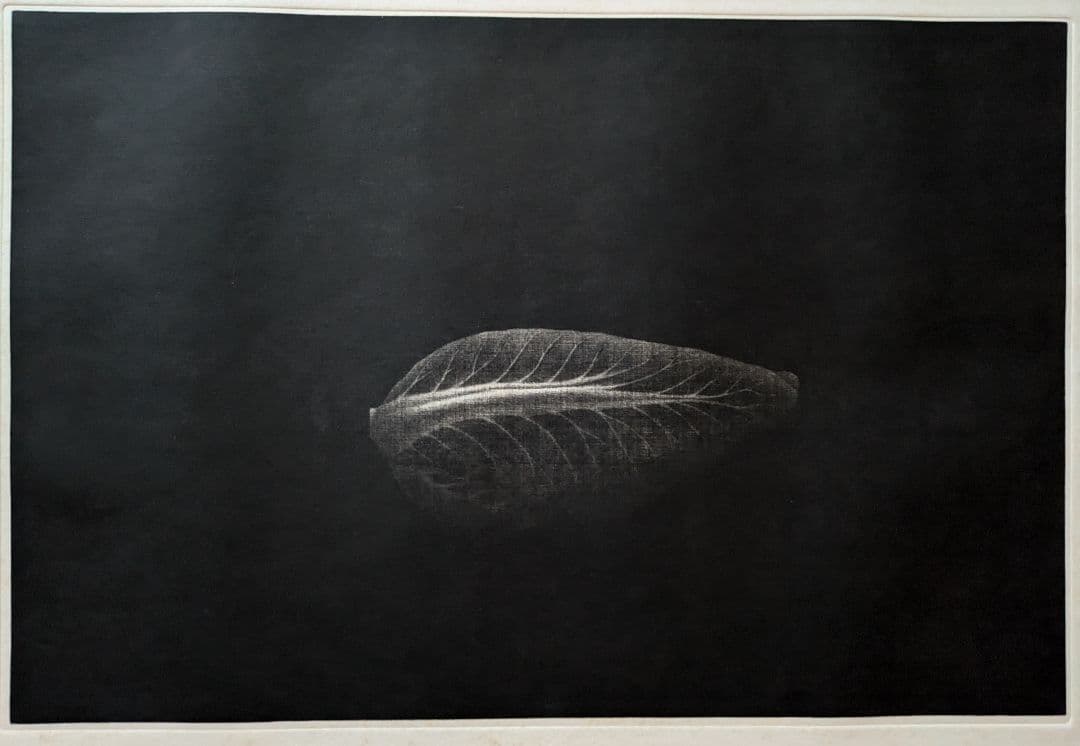 格安j浜口陽三の腐蝕銅版画　「 キャベツ 」美品 “黒”が織りなす静謐な銅版画