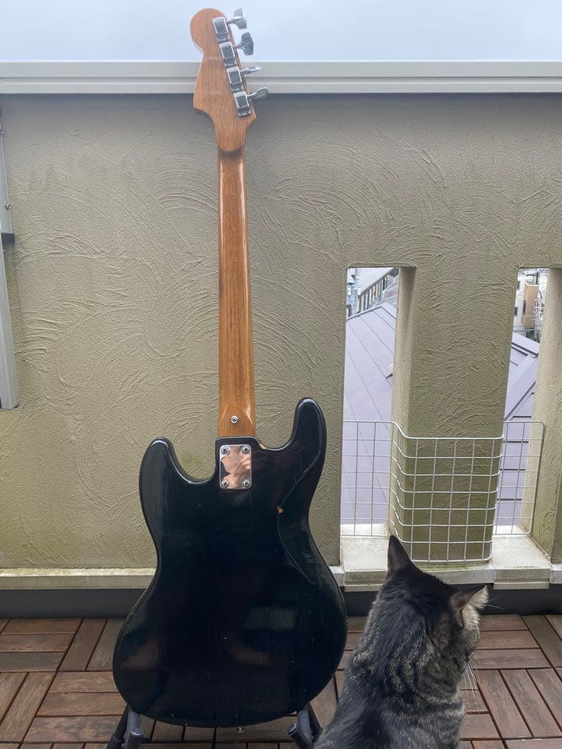 TRUMP ビザールエレキベース