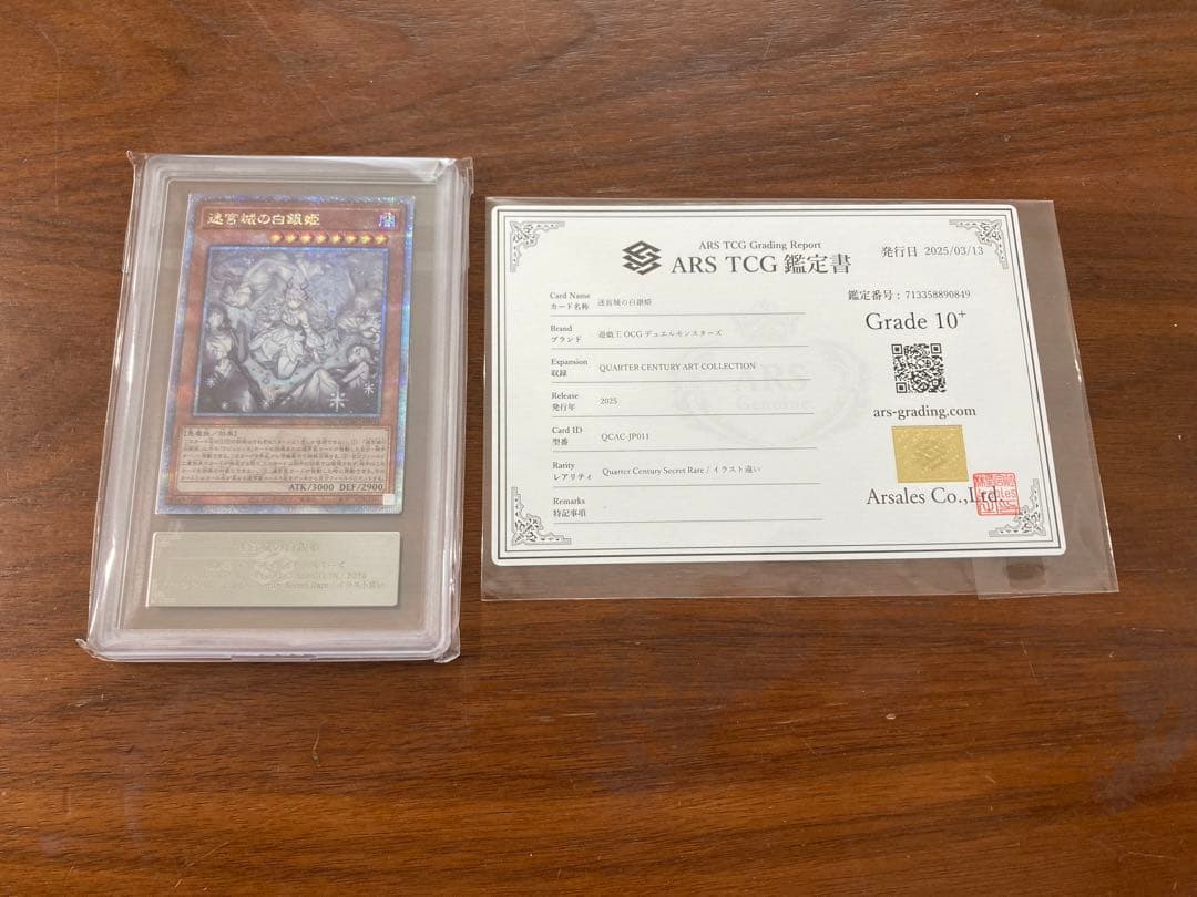 迷宮城の白銀姫 25th ars10+