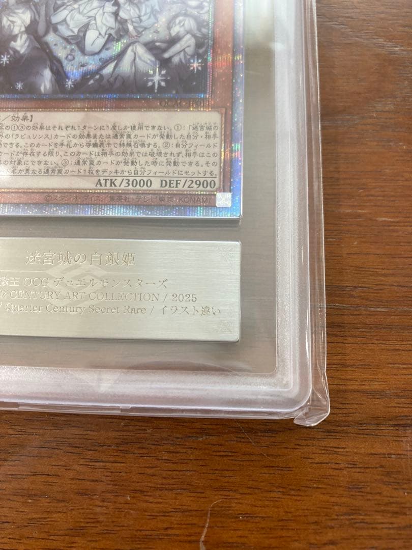 迷宮城の白銀姫 25th ars10+