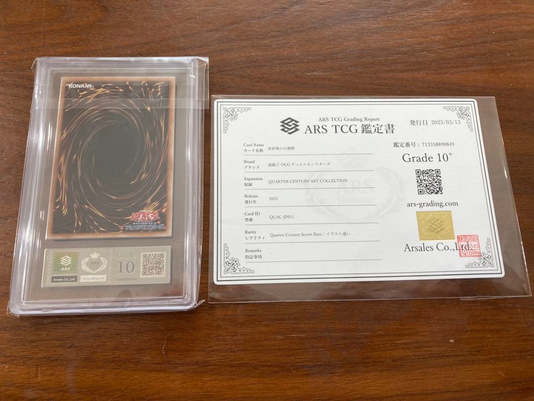 迷宮城の白銀姫 25th ars10+