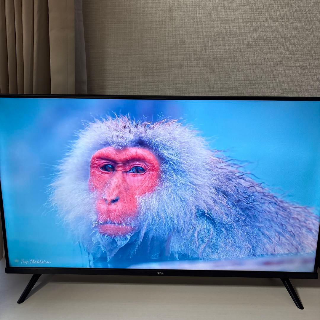 TCL 40V型 液晶テレビ Android TV 40S5200B 2022年