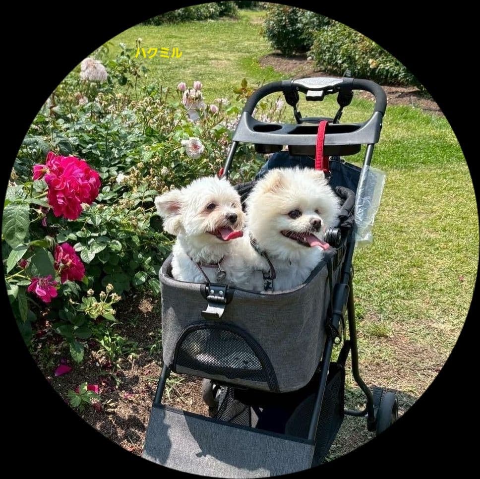 FaFa！キーホルダー