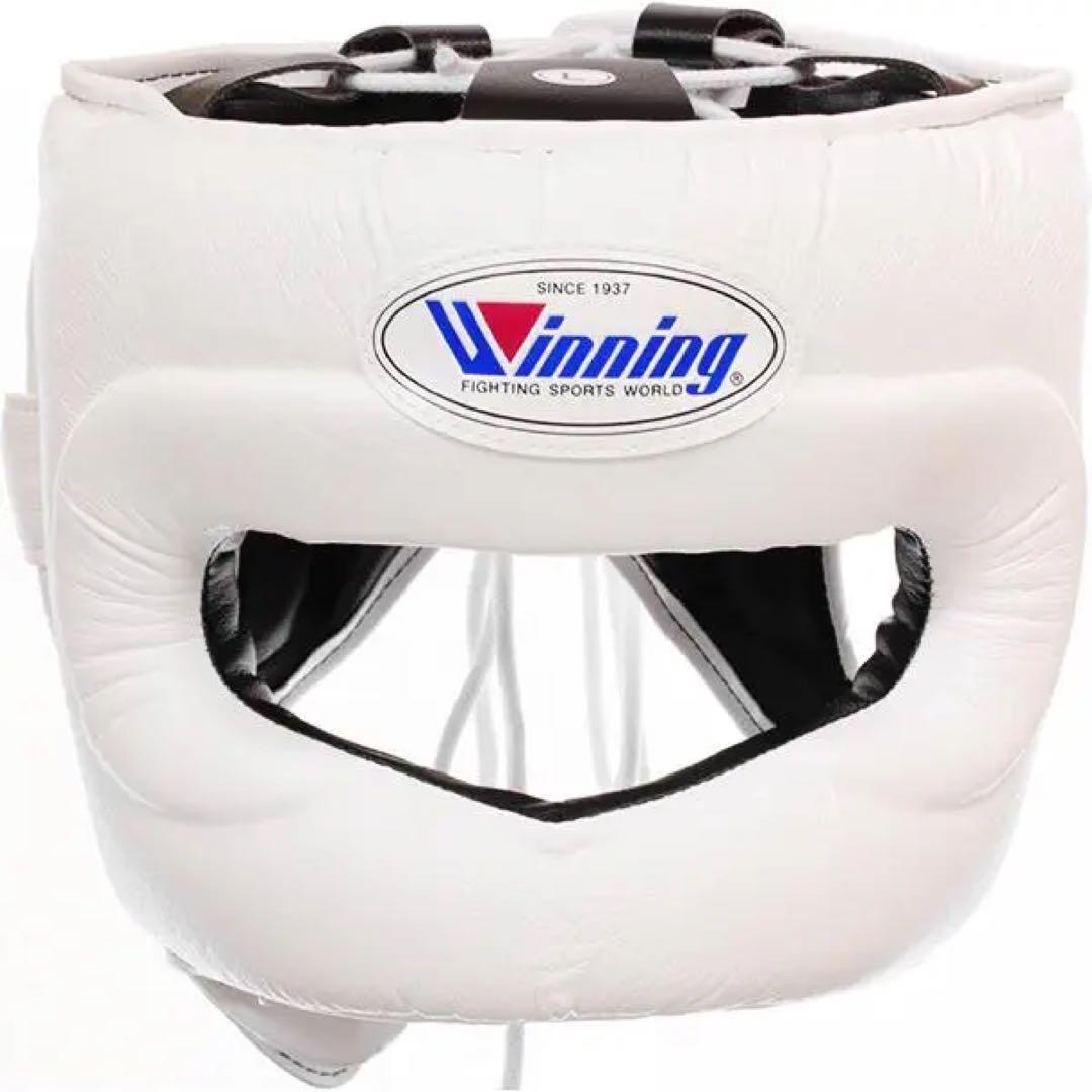 Winning ヘッドギア FG-5000 (WHT) ホワイト　フルフェイスM