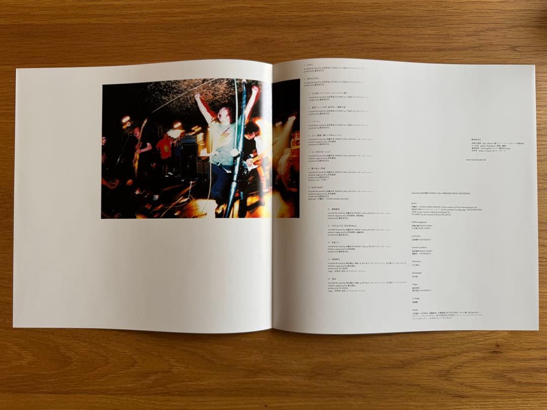 銀杏BOYZ / 君と僕の第三次世界大戦的恋愛革命 2LP レコード 新品購入