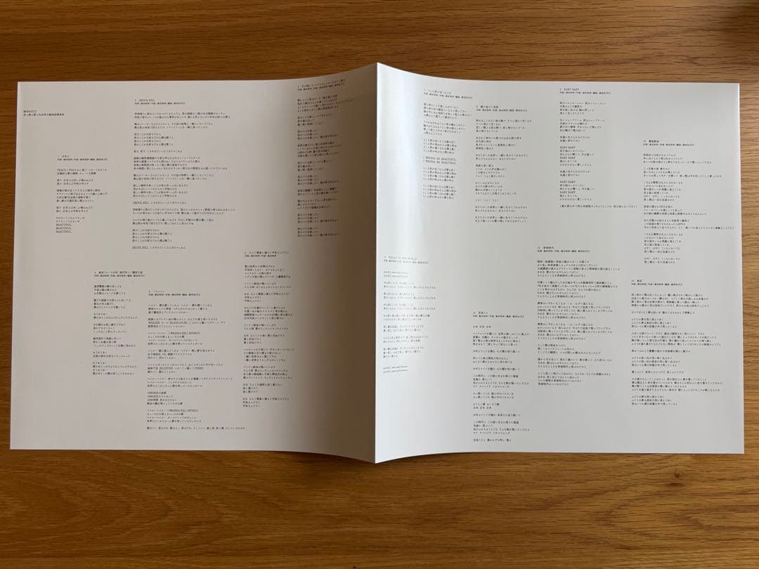 銀杏BOYZ / 君と僕の第三次世界大戦的恋愛革命 2LP レコード 新品購入