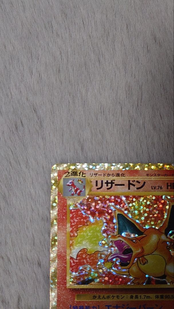 ぬ*ま様 リザードン ガブリアス　25周年