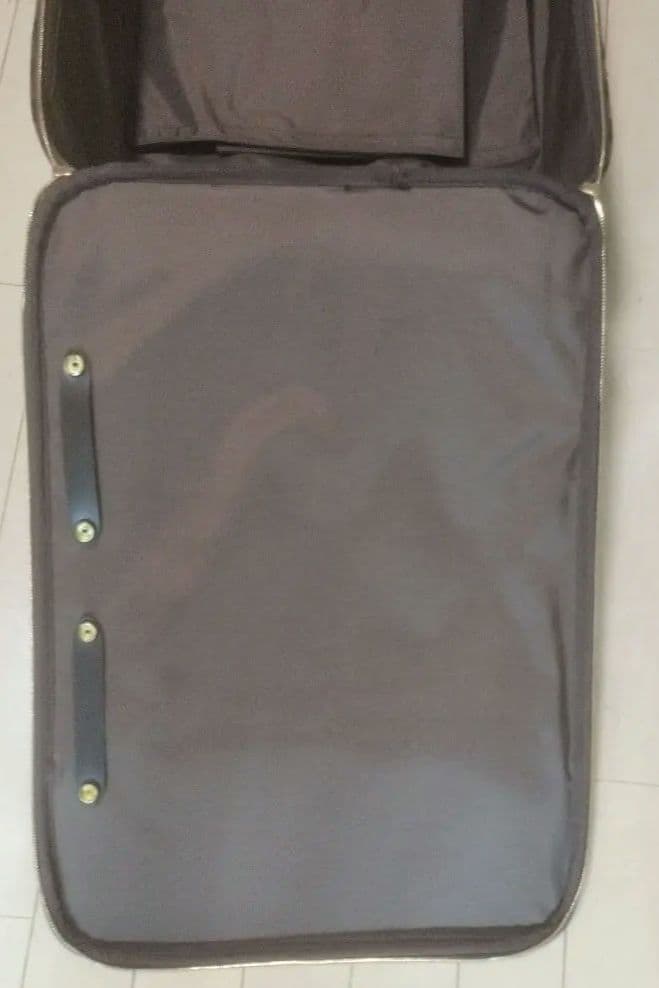 LOUIS VUITTON ダミエ キャリーケース 中型