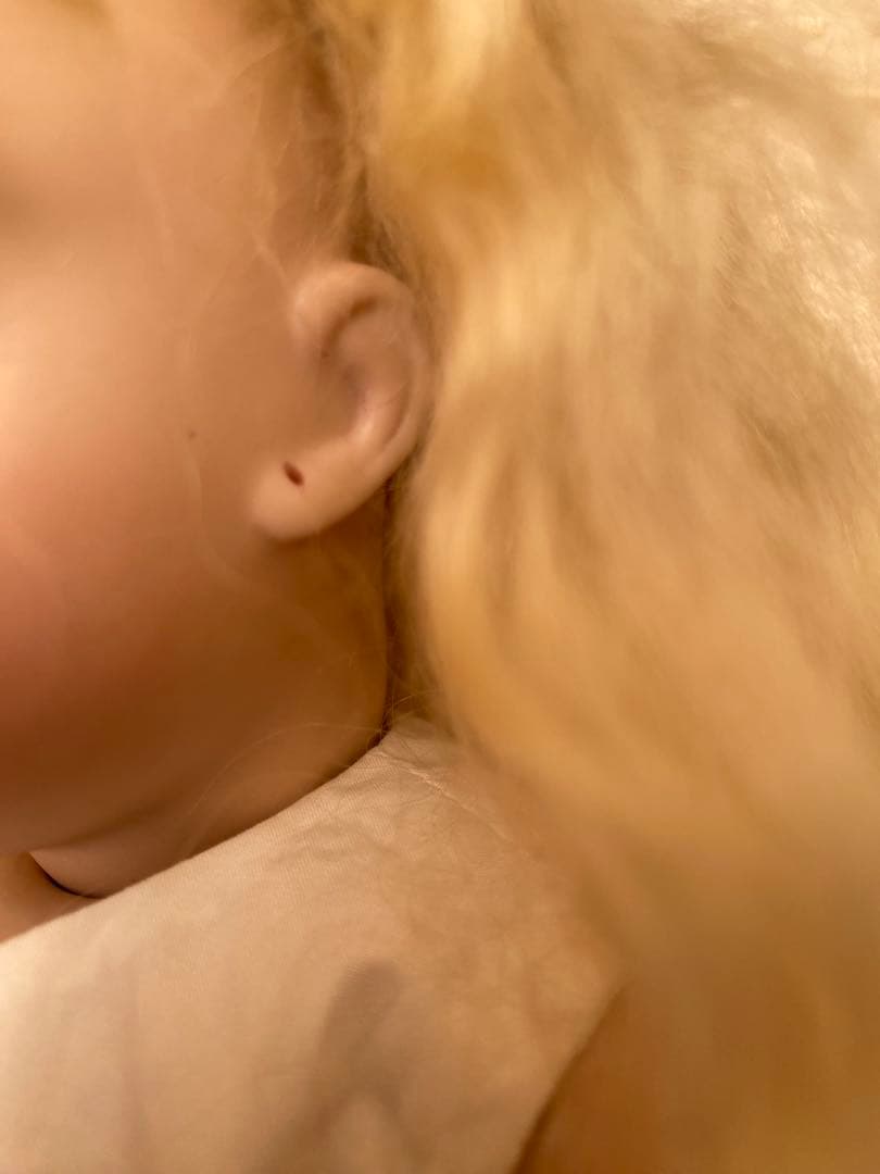 ビスクドール　ブリュ