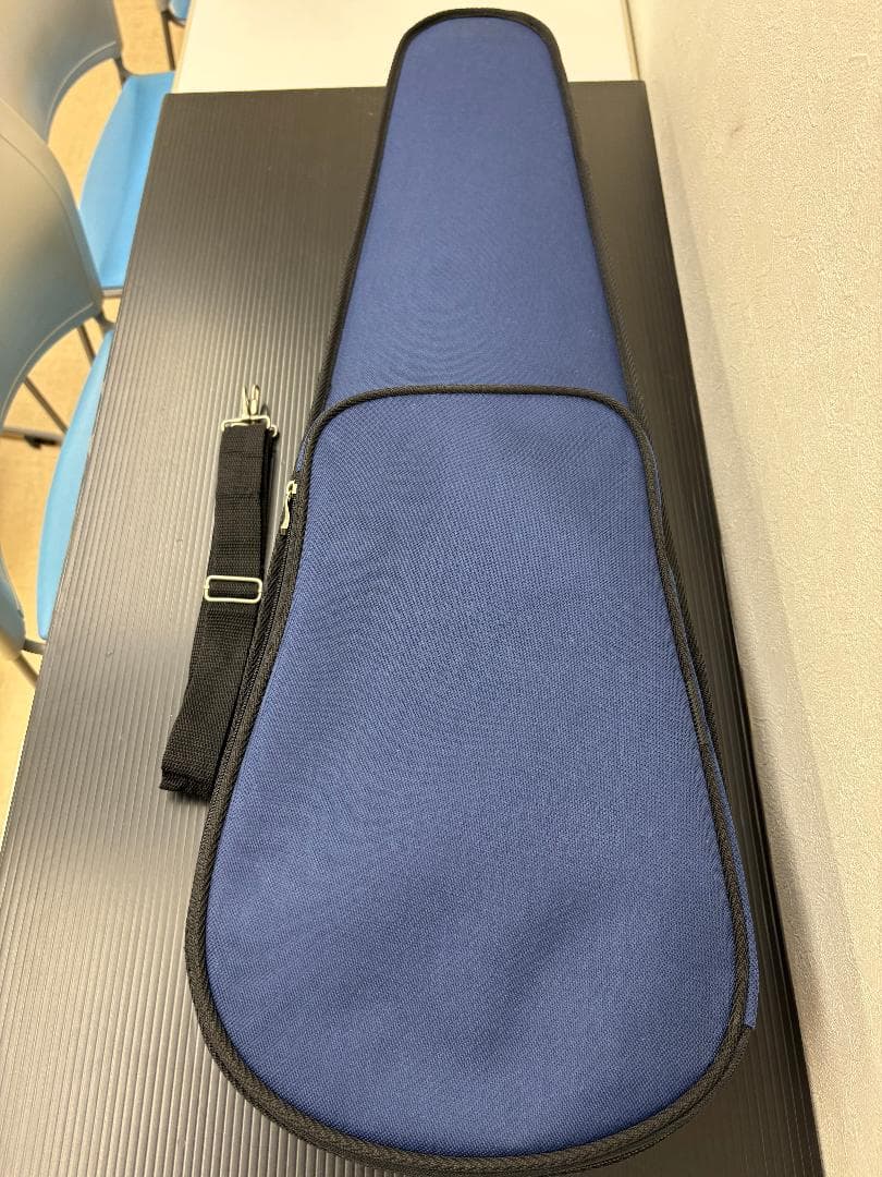 ハルシュタット　エレキヴァイオリン