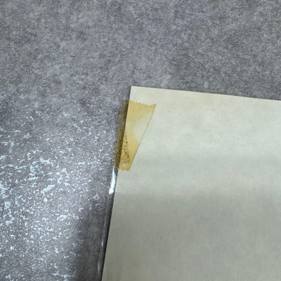 希少 おもひでぽろぽろ カットシーン セル画 E22 スタジオジブリ