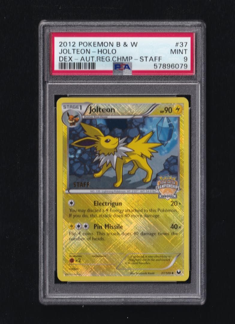 英版サンダース チャンピオンシップ STAFFプロモ - PSA MINT9