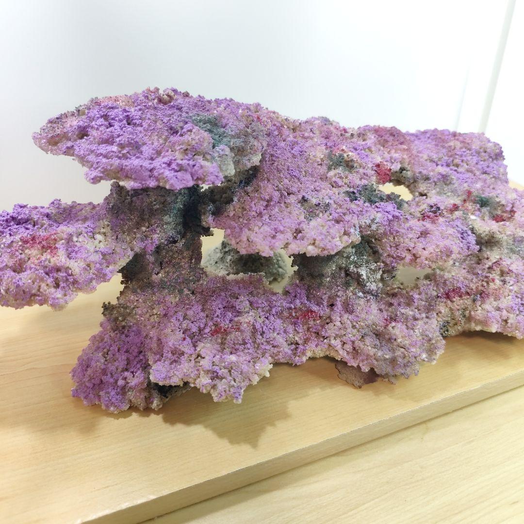 ❖新品アク抜き不要 人工ライブロック 60cm海水水槽用 レプリカ 多孔質安い5