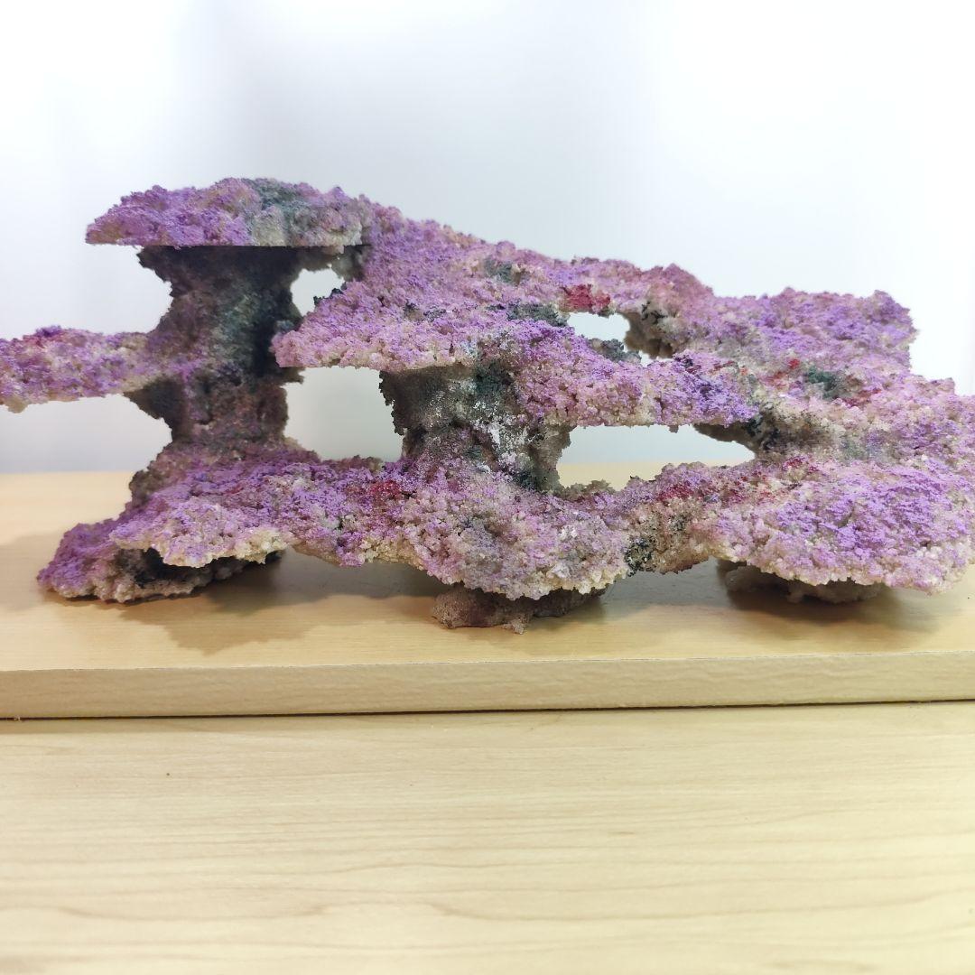 ❖新品アク抜き不要 人工ライブロック 60cm海水水槽用 レプリカ 多孔質安い5