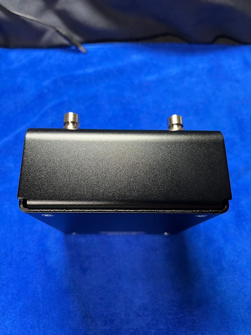 れる  Strymon FLINT V2