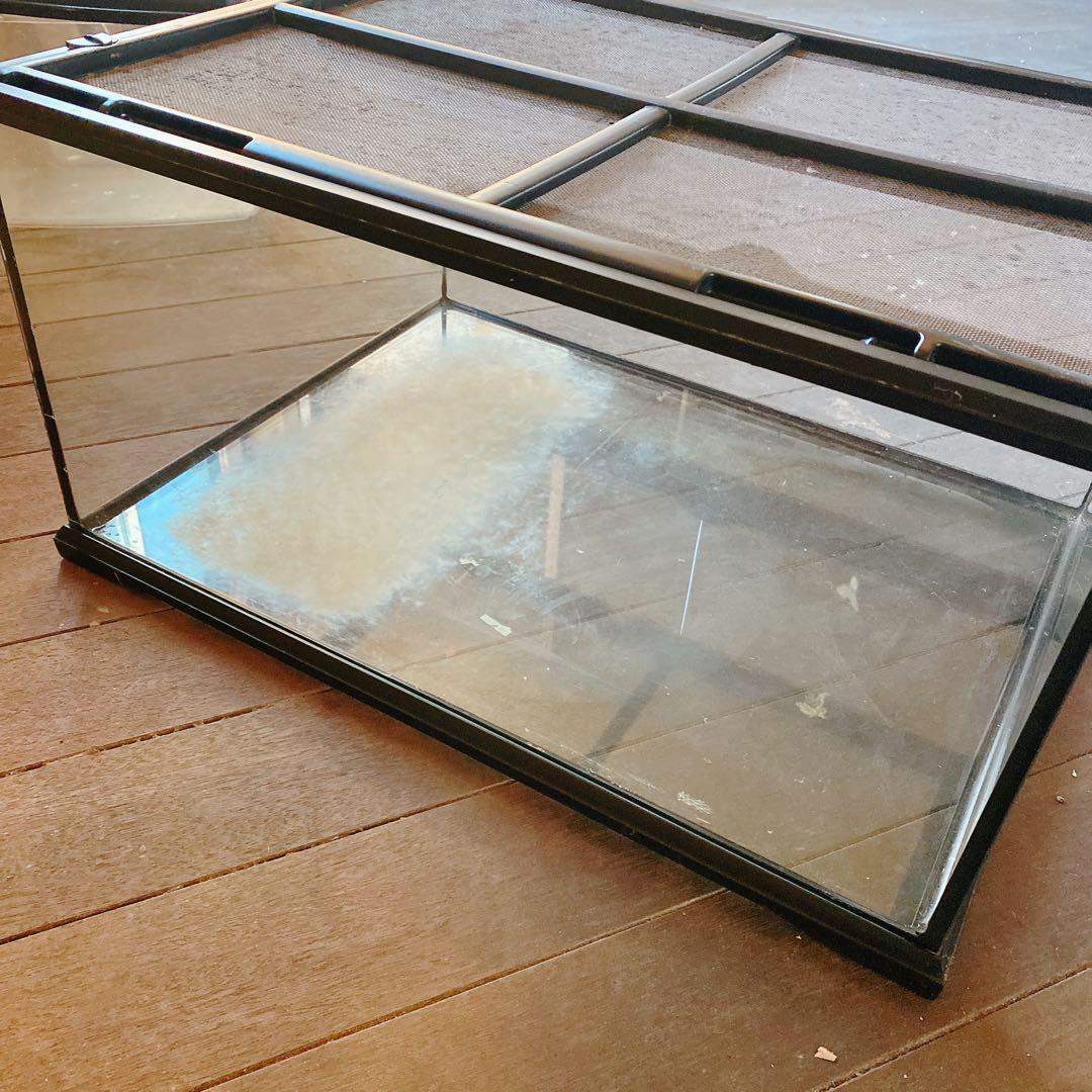 エキゾテラ　グラステラリウム　ガラスケース