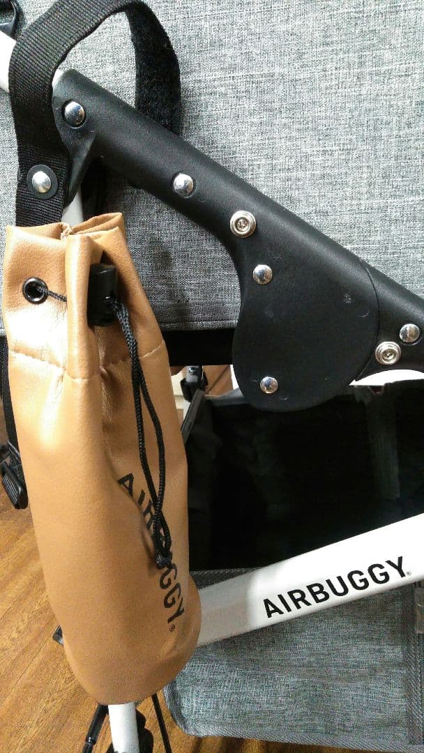 エアバギー　AIRBUGGY　ドーム3　DOME3　ラージ　ペットカート