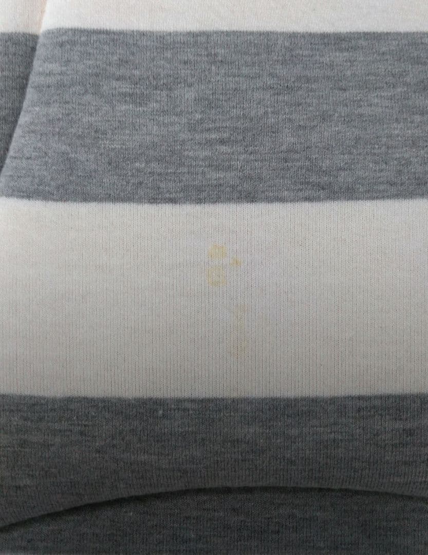 エアバギー　AIRBUGGY　ドーム3　DOME3　ラージ　ペットカート