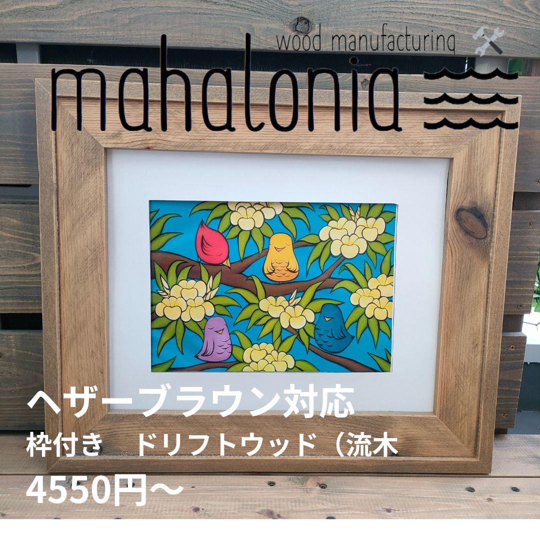 ヤス　ヘザーブラウン　ご検討中