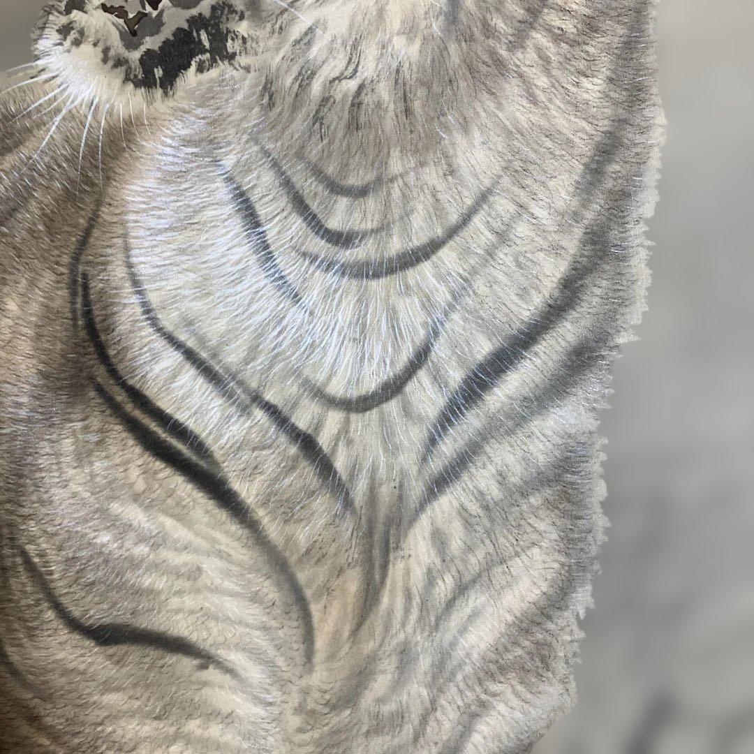 大橋翠石作品　掛軸　鑑定書あり