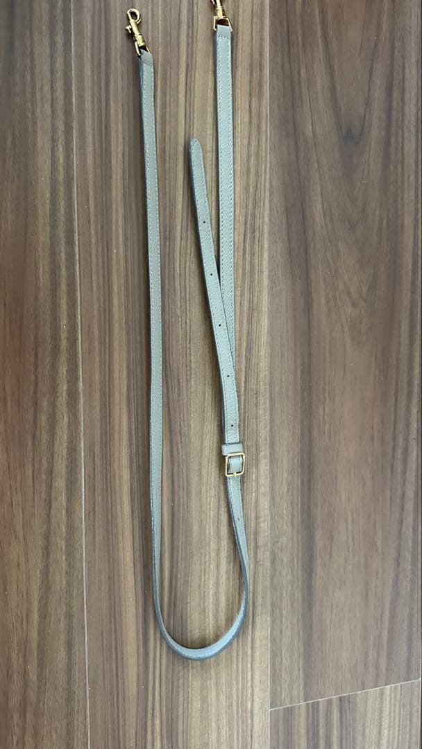 CELINE セリーヌ ベルトバッグ ナノ ライトトープ