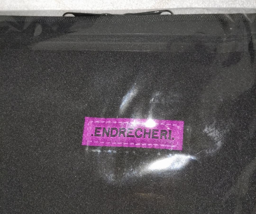 .ENDRECHERI. LIVEグッズ2023フーディーとマルチケース