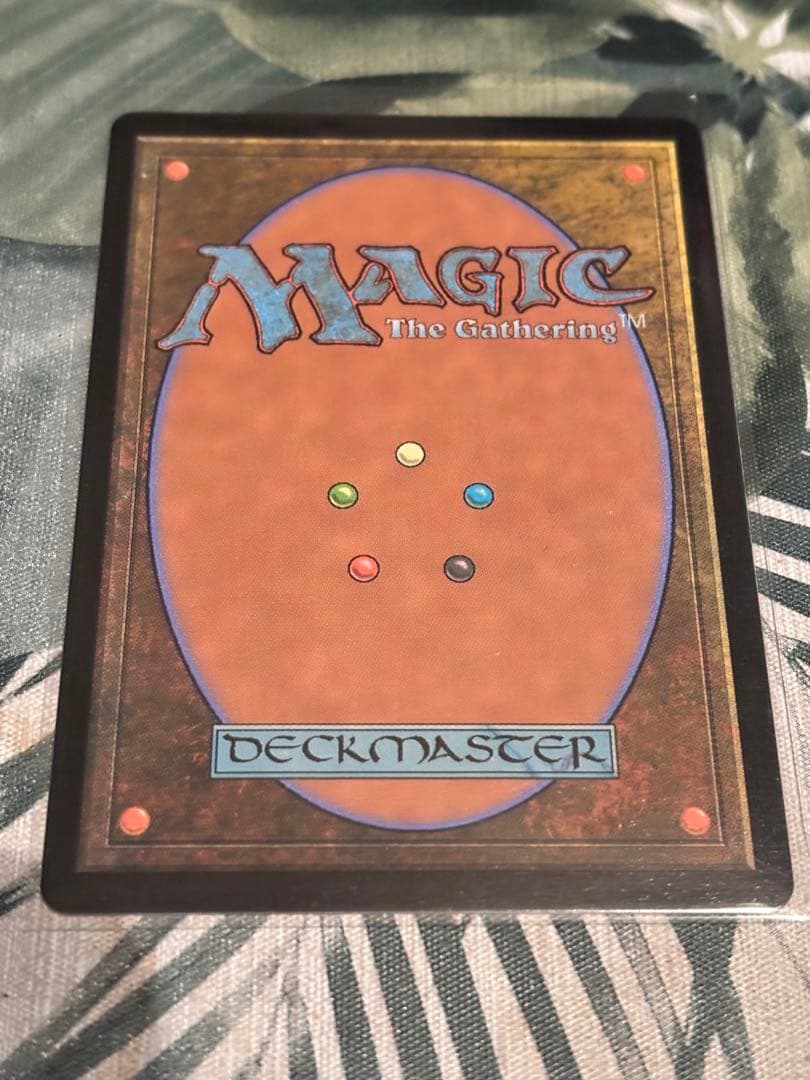 リスティックの研究