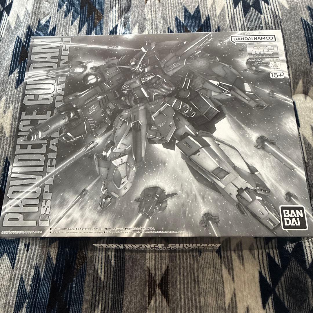 MG プロヴィデンスガンダム　スペシャルコーティング