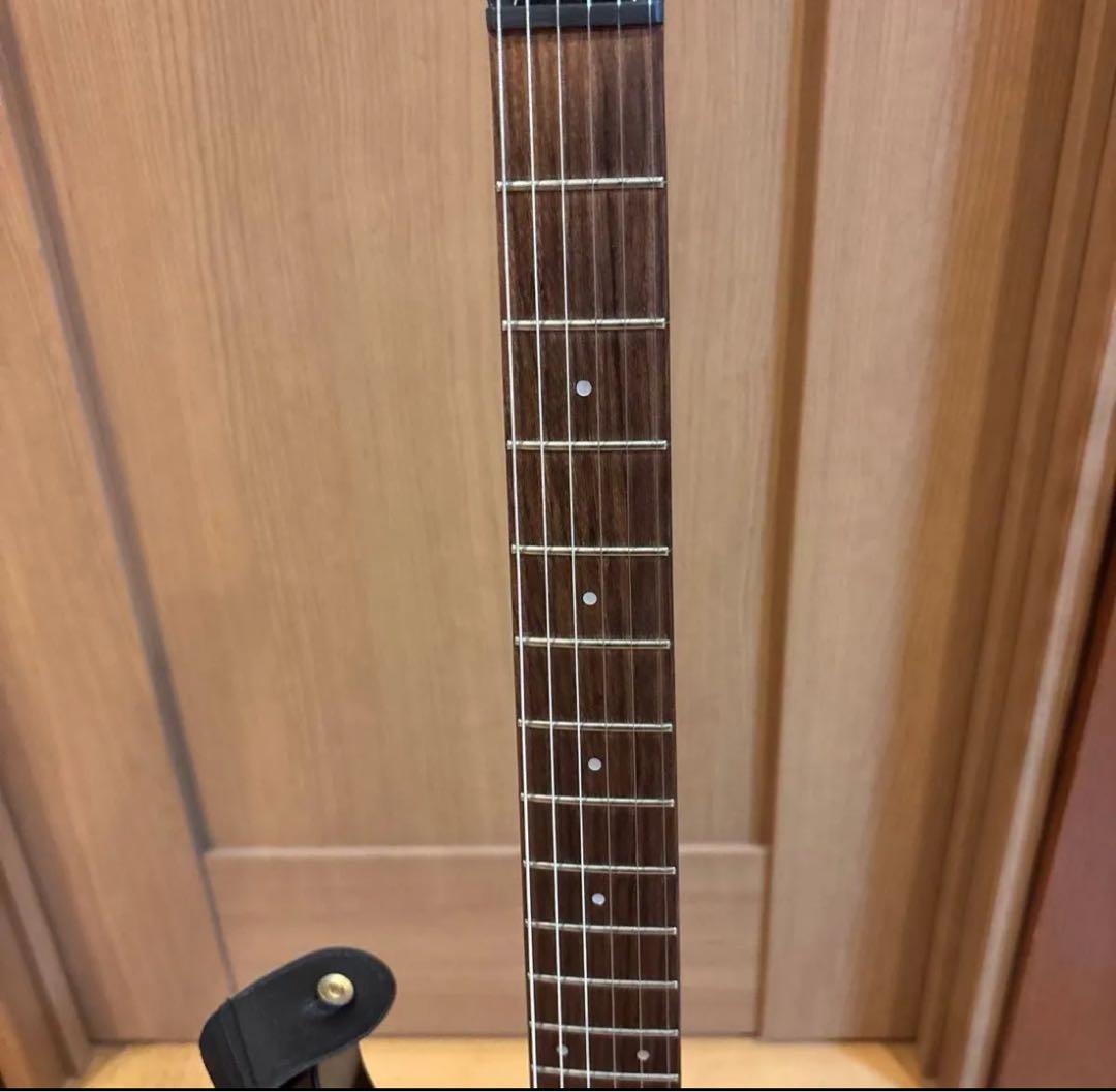 FERNANDES FGZ400 ゴールドパーツ仕様 トレモロアーム ケース付