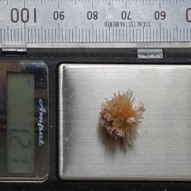 1.21g　アラゴナイト　かわいいウニゴナイト(仮称)　霰石