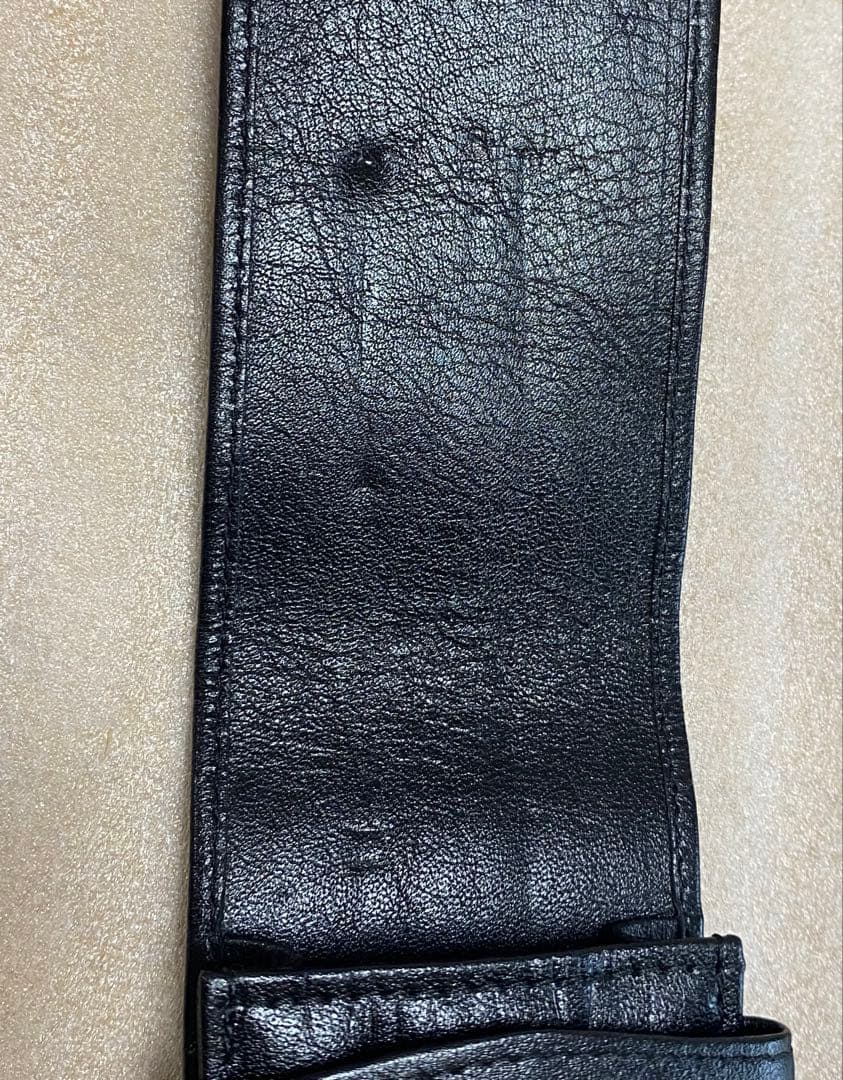 Pelikan（ペリカン）万年筆 スーベレーン M600 ➕ケース