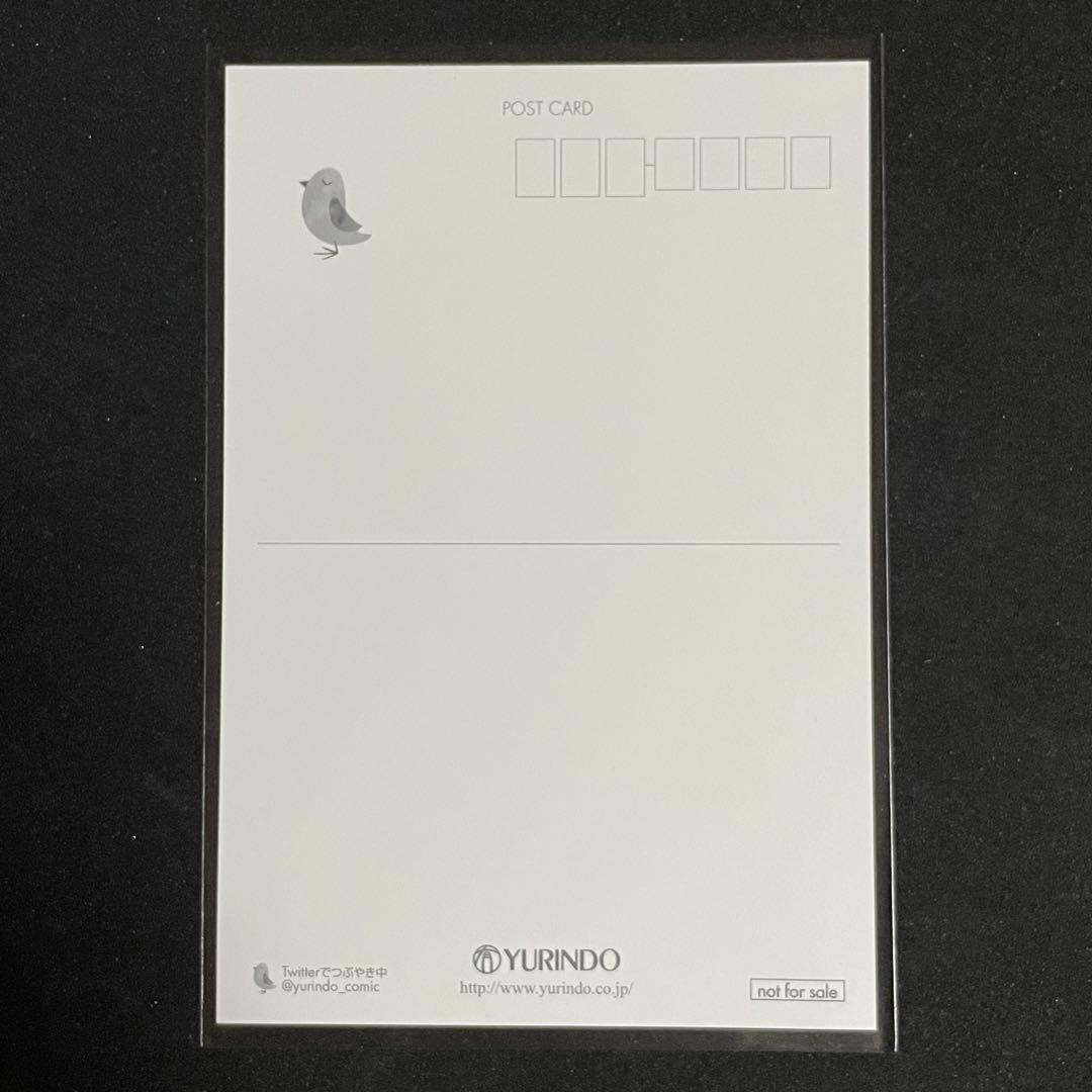 聖闘士星矢 冥王神話外伝 完結記念 有隣堂特典 ポストカード 非売品 手代木史織