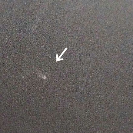 m(即購入×)出品 LUNA SEA会報（会報ホルダー付き）