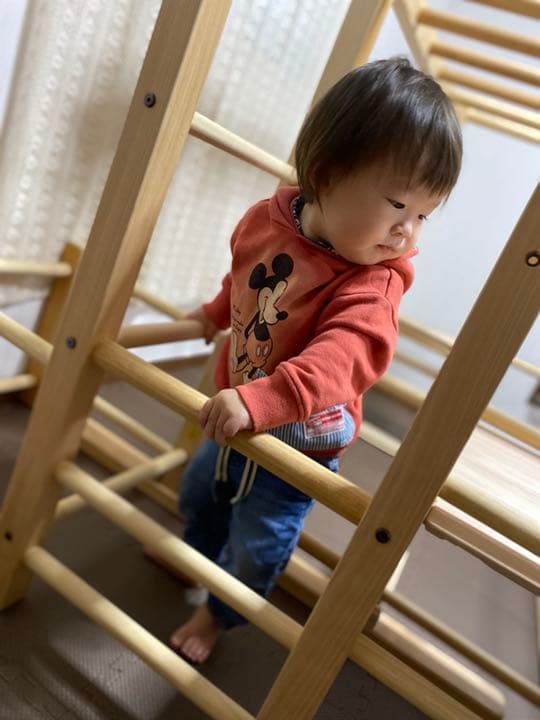 梅庵ミツバチ様