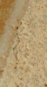 久尻窯    茶碗   志野焼